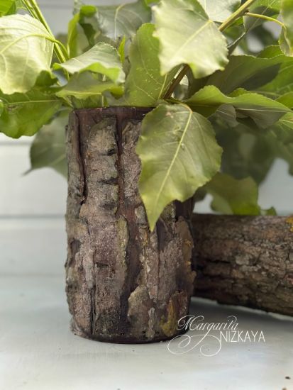 [DoHands] Маргарита Низкая → Имитация коры старого_0.jpg